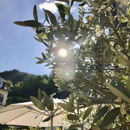 Vie Hotell Cochem